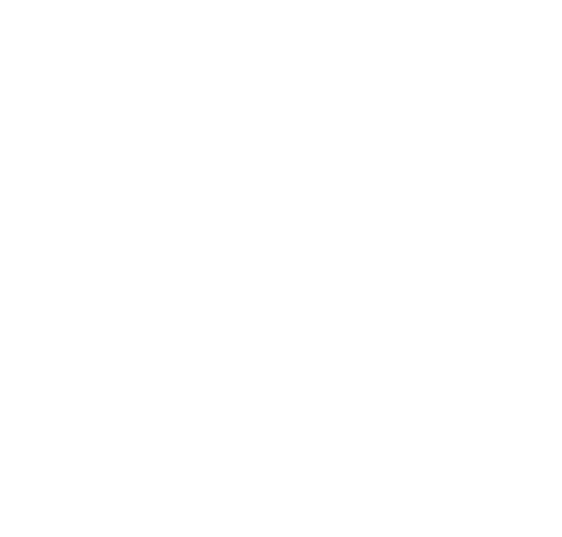 The Bear's Japan