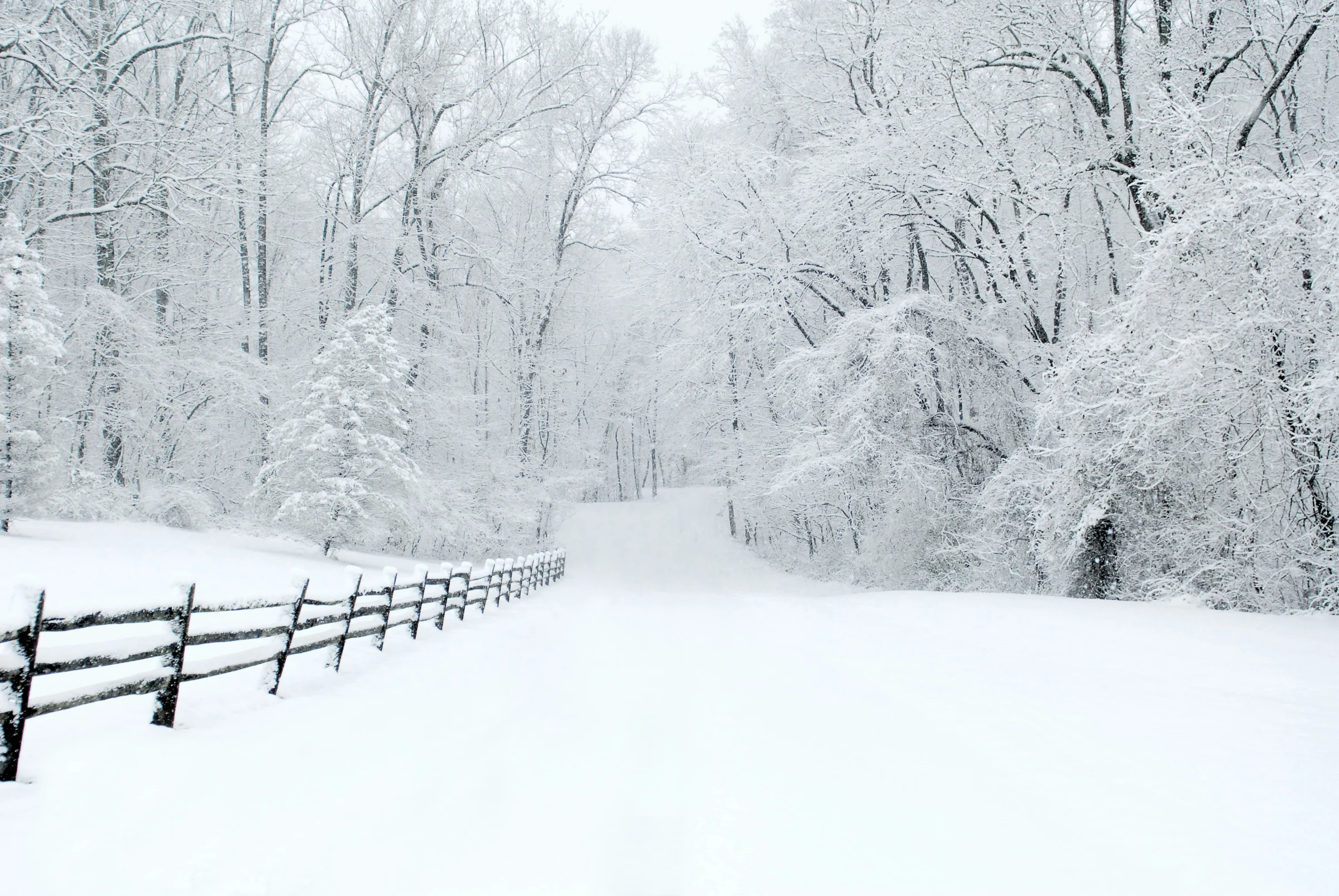 How sknowed.com Forecasts Snow